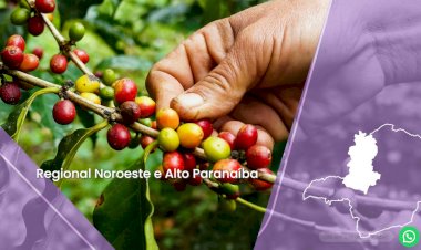 SEBRAE Regional Noroeste e Alto Paranaíba